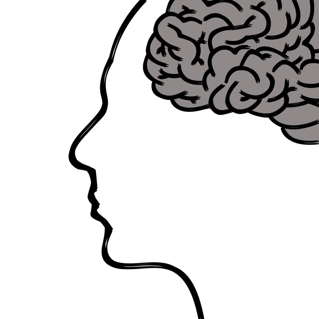 head, brain, thoughts, human body, face, psychology, concentration, ideas, gray matter, drawn face, drawing, brain, brain, brain, brain, brain